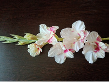 ��������� �����