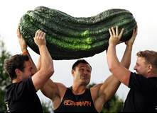 ��� �� �������, ��� �����!