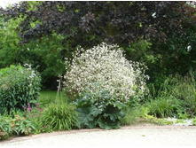 ������ �������������.jpg