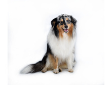 IMG 20201205 141525 (037E9A00).jpg