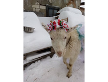 IMG 20210115 095100.jpg