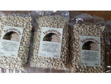 �������� ���� ���������