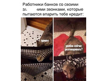 ������! ������ ������ �������������?