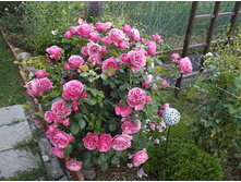 �������� �� �����