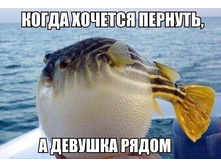 IMG 20210106 152040.jpg