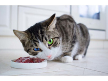 ��ޣ����� ...