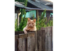 �� ������ �� �ģ� ...