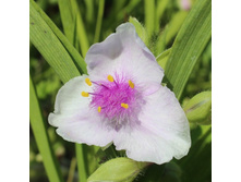 ������������ ��������� +21�