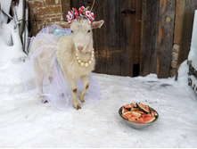 0-02-08-45fee2e634728180bdf4e4aad645de650938bab384f749a01b63019cd94eb781 3d52a0ab.jpg