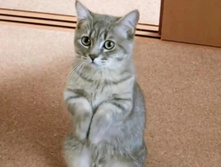 �� �� ����� ������� ������� ...