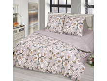 �������� ���� 220 �� ������+���������