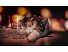 �ӣ! ����!