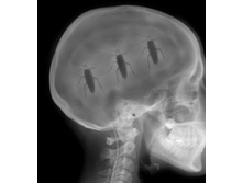 IMG 20210106 153247.jpg