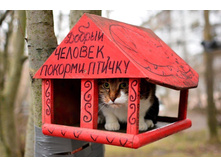 �������, ������ ������� ...