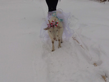 IMG 20210115 095508.jpg