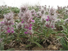 ������ ��������������.jpg