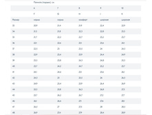 ������� �������.jpg