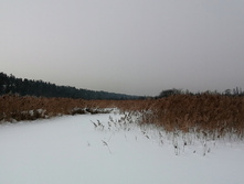 IMG 20210221 121803.jpg