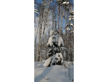 IMG 20210214 120610.jpg