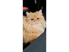 �� � ���?