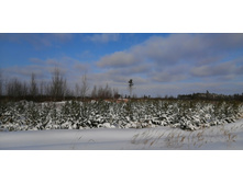 IMG 20210206 113253.jpg