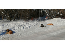 IMG 20210223 112843.jpg