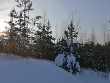 IMG 20210221 151443.jpg