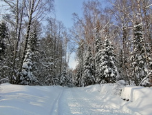 IMG 20210214 121026.jpg