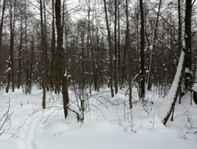 IMG 20210221 134435.jpg