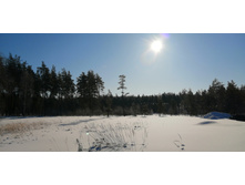 IMG 20210222 102350.jpg