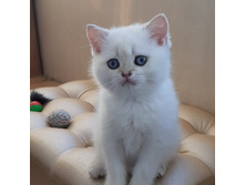 153516608 176684620640333 1963763714821987230 n.jpg