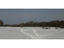 IMG 20210227 113821.jpg