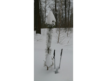 IMG 20210227 105606.jpg