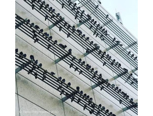 FB IMG 1612712222443.jpg