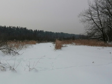 IMG 20210221 124109.jpg