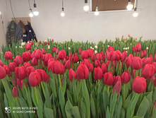 IMG 20210223 141814.jpg