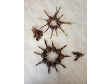 �����������. ����� � �������