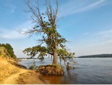 IMG 20210222 202605.jpg