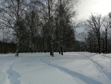 IMG 20210227 112709.jpg