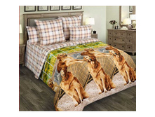 ��� ������� ���� ���.