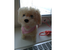 IMG 20210207 131316.jpg