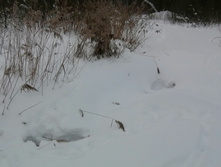 IMG 20210221 125859.jpg