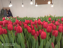 IMG 20210223 141828.jpg