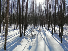 IMG 20210223 115731.jpg