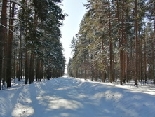 IMG 20210222 114954.jpg