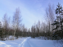 IMG 20210221 151558.jpg