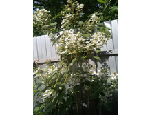 ������� � �����