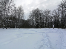 IMG 20210227 112306.jpg