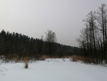 IMG 20210221 130141.jpg