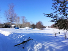 IMG 20210223 113359.jpg